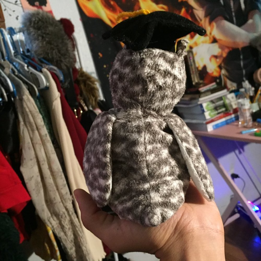 Graduating Owl Plush - Picture 8 of 14